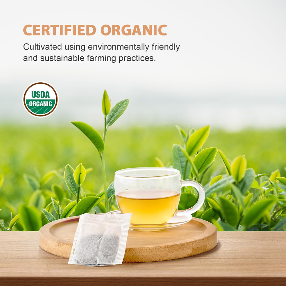 Soeos Organic Oolong Tea 6.3 oz, 100 Tea Bags, Fresh and Healthy